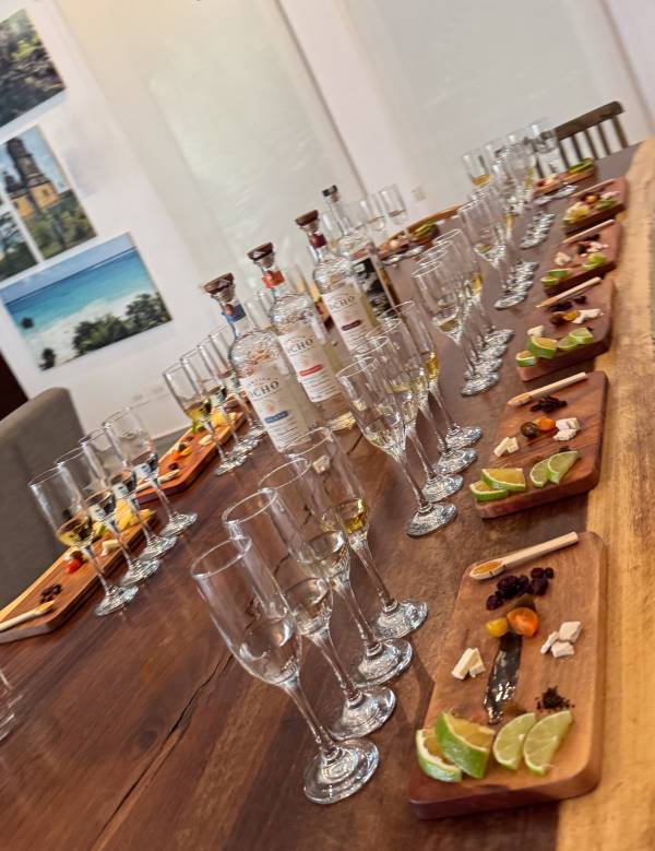 tasting tequila in a private experience in a luxury villa.